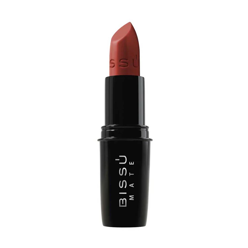 LABIAL EN BARRA MATE