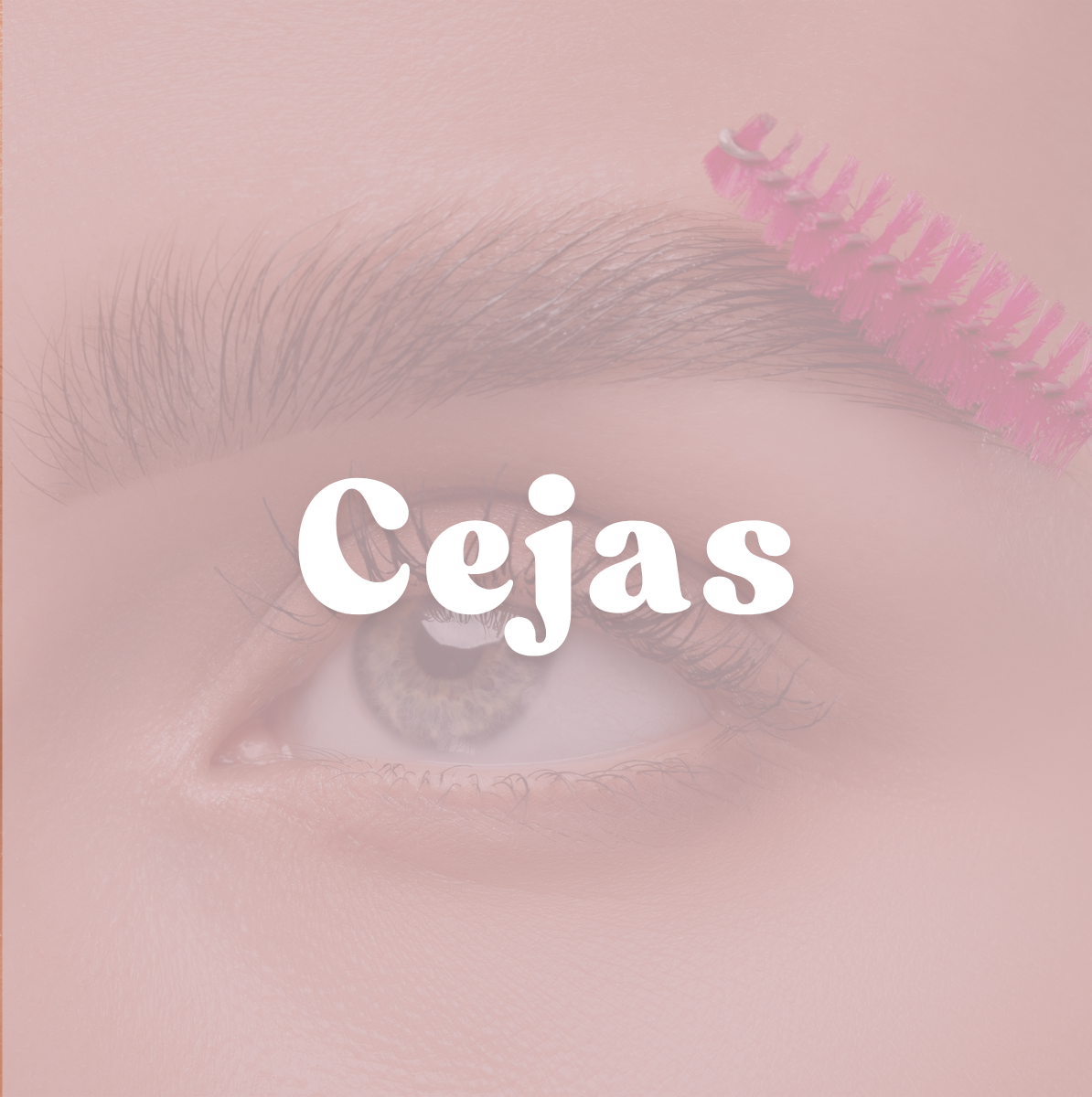 Cejas