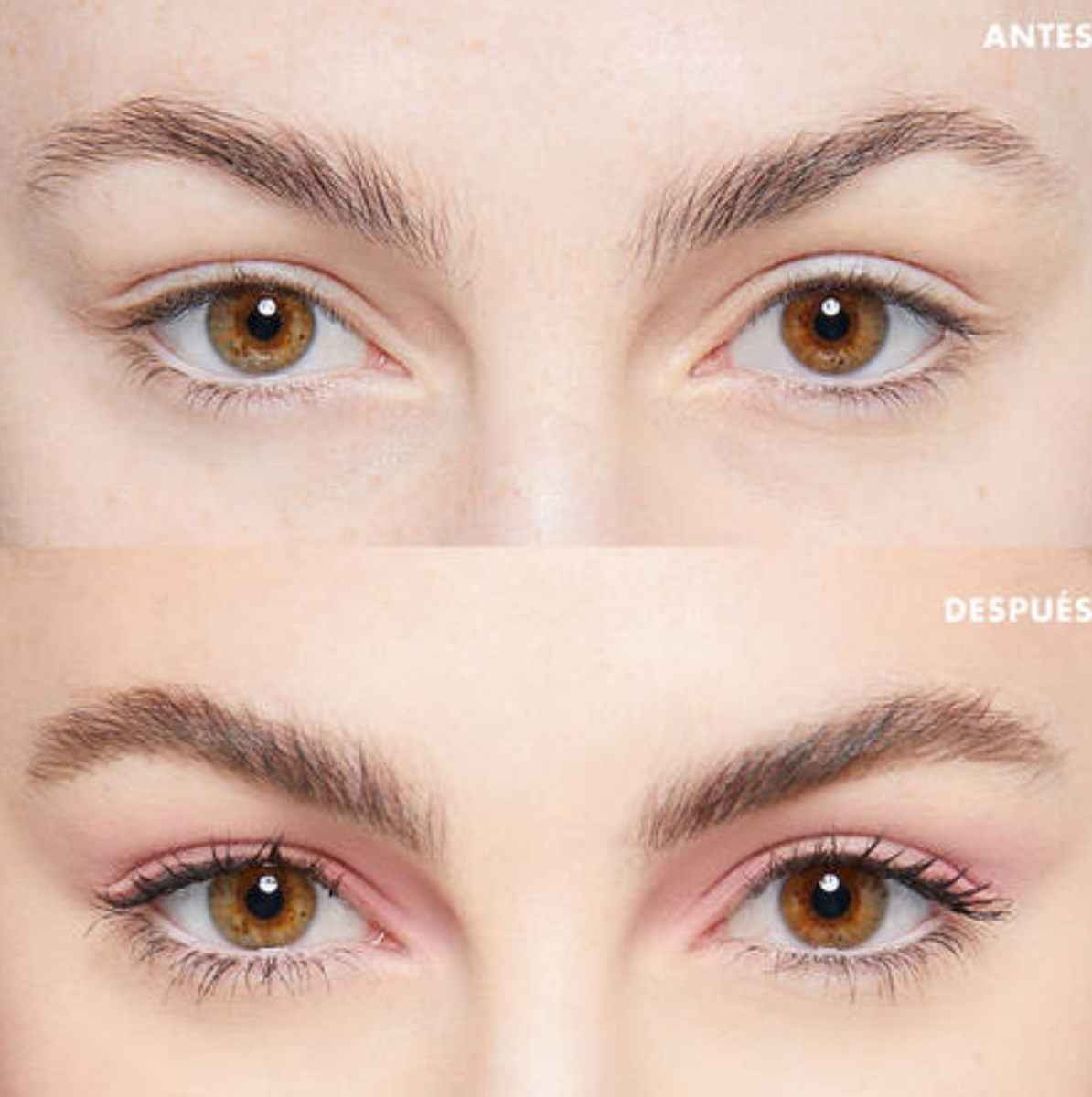 THE BROW GLUE | GEL DE CEJAS