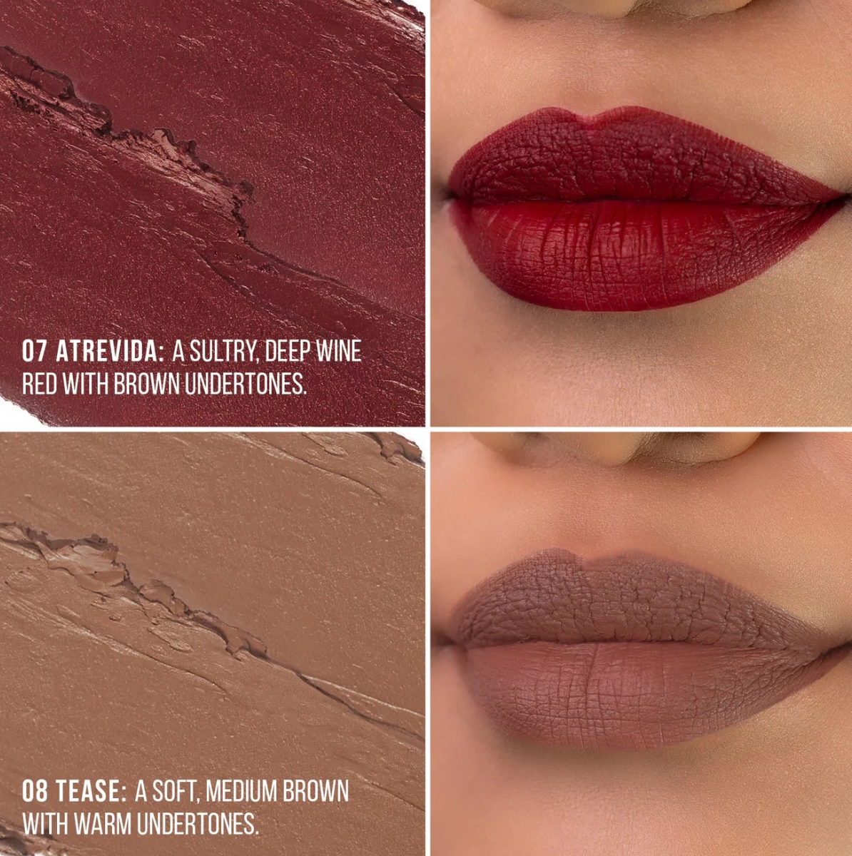 LOCKED IN PLACE MATTE LIPPIES | LABIAL EN BARRA DE LARGA DURACIÓN