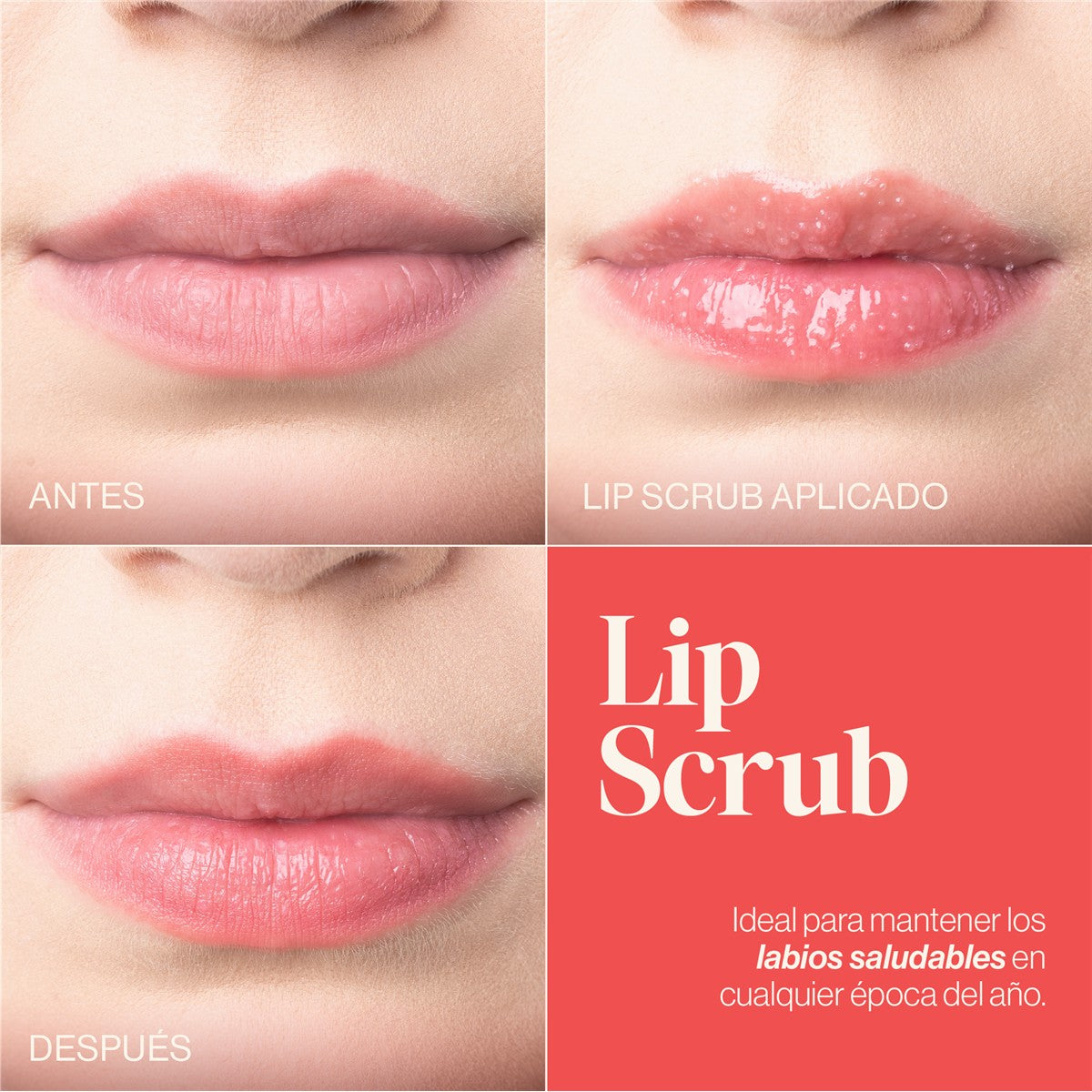 LIP SCRUB | EXFOLIANTE PARA LABIOS — imagen 9